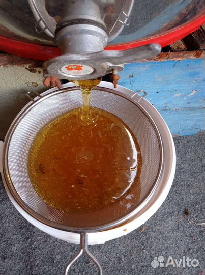 Продажа пчел