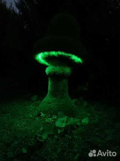 Топиари Топиарная фигура Садовая фигура «Грибок»