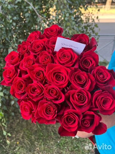 Розы красные премиум эквадор 60см
