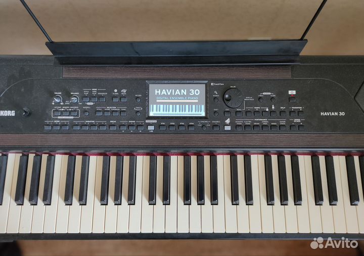 Korg Havian 30