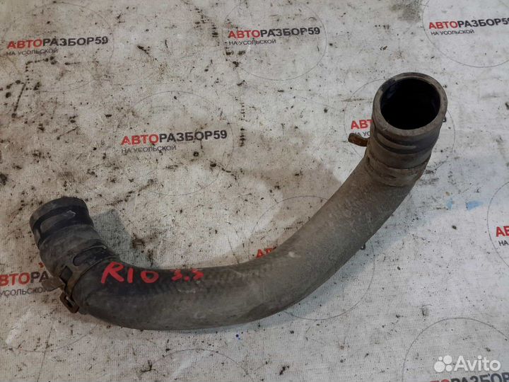 Патрубок радиатора KIA RIO 3 QB