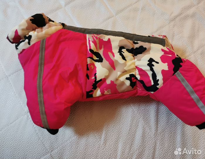 Одежда для маленьких собак