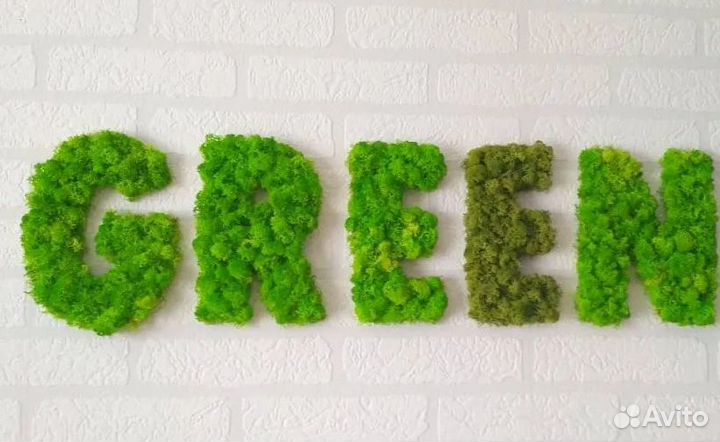Логотип из мха 70 см