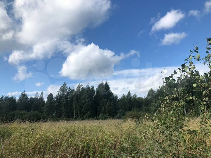 Участок 14,5 сот. (СНТ, ДНП)