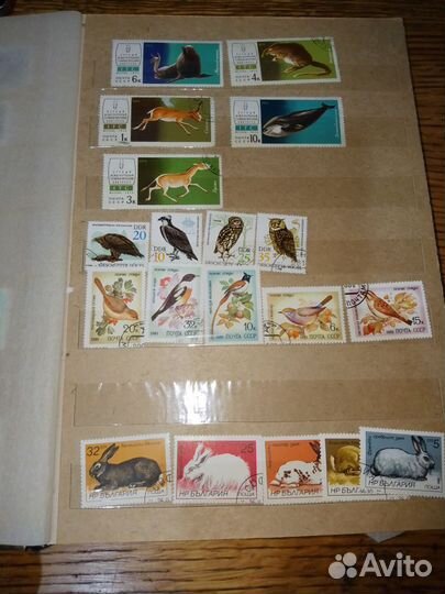 Почтовые марки