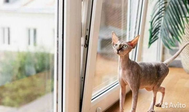 Окна пластиковые