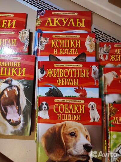 Энциклопедия для детей