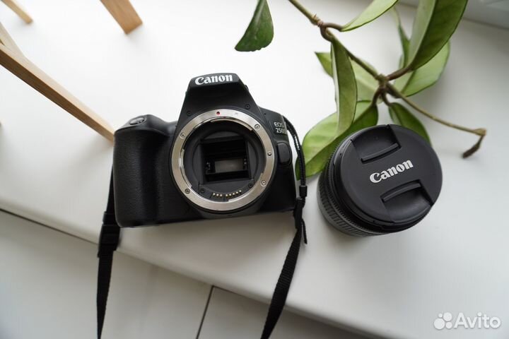 Canon eos 250d