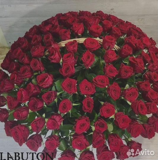 101 роза Цветы Букет