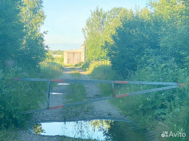 Ферма сельское хозяйство