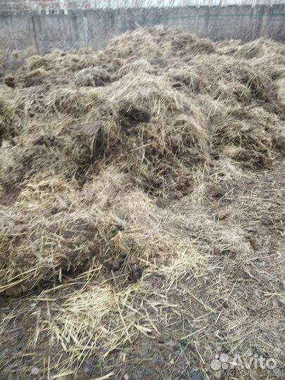 Навоз коровий