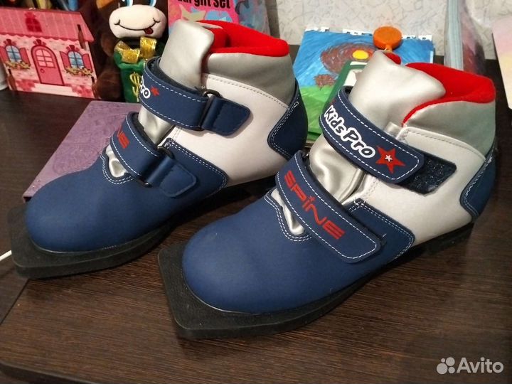 Лыжные ботинки