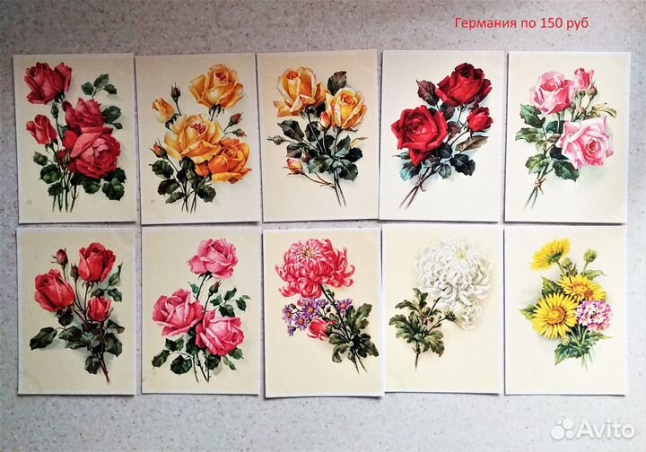 Открытки чистые цветы Германия, Польша, СССР (29)