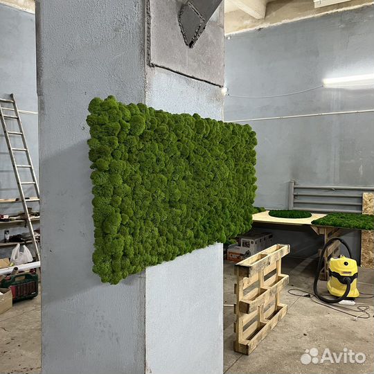 Панель из мха