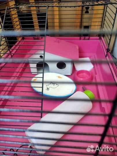 Клетка для грызунов