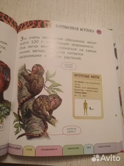 Детская энциклопедия о животных. Книга-подарок