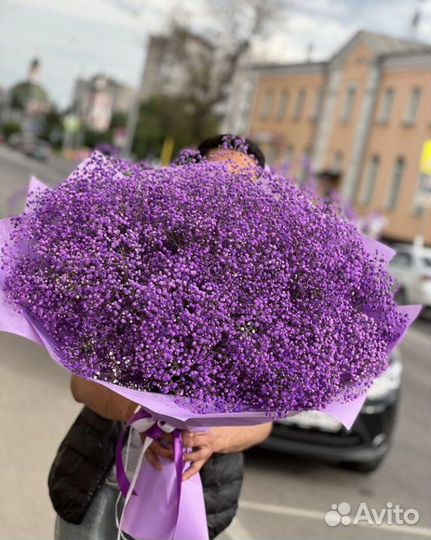 Букеты гиганты из гипсофилы, цветная гипсофила