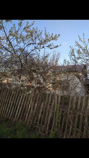 Дом 61,7 м² на участке 10 сот.