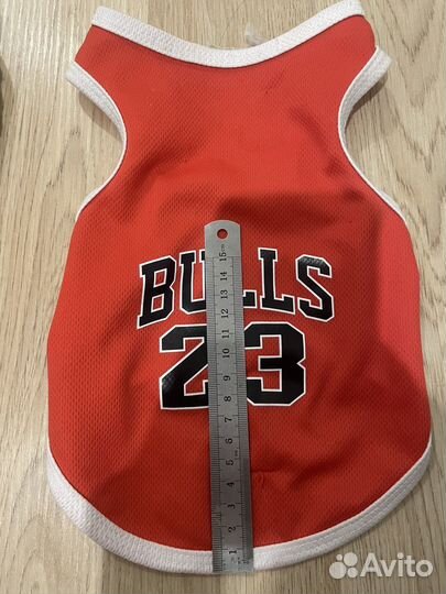 Одежда для собак мелких пород