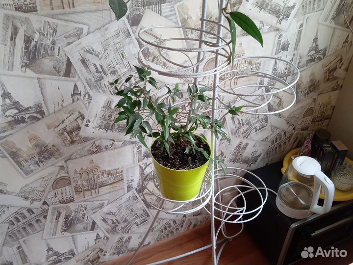 Стойка для цветов, цветочница, подставка д/цветов