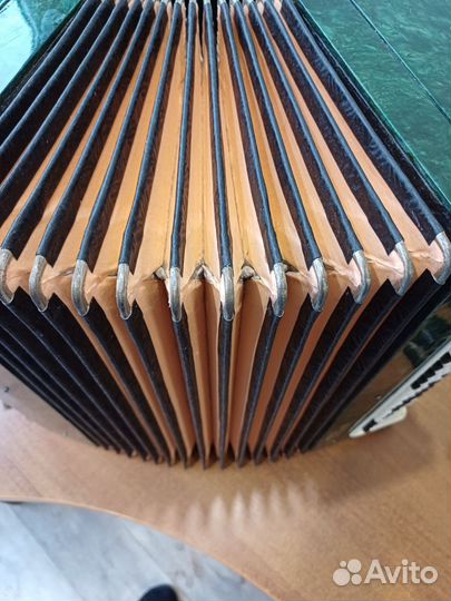 Баян тульский