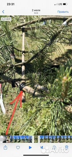 Для подвязки растений - кембрик