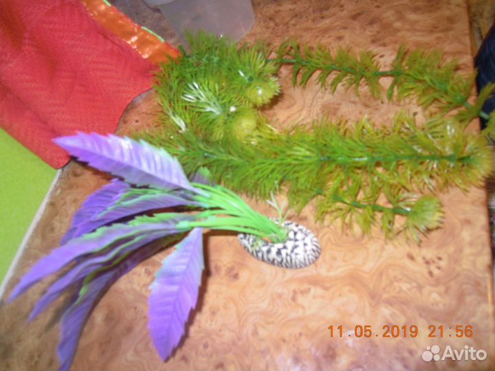 Аквариумные аксессуары