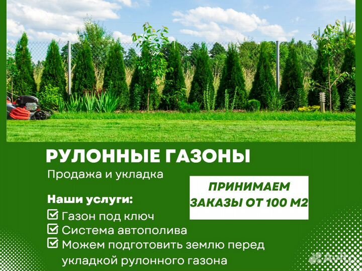 Укладка газона