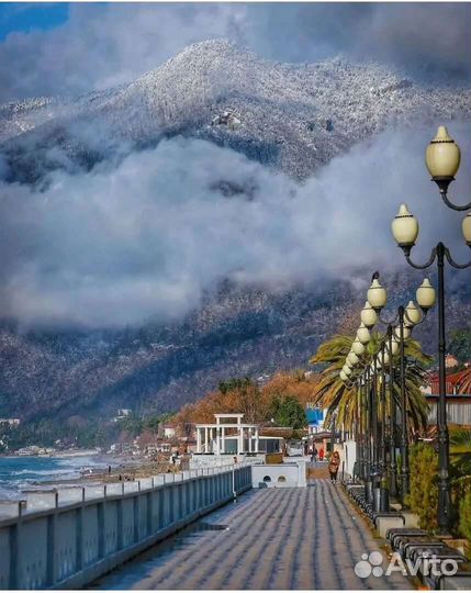 Экскурсии в Абхазию