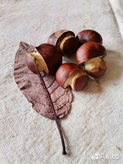 Декоративные грибы