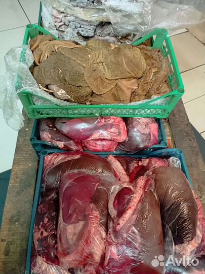 Еда для собак