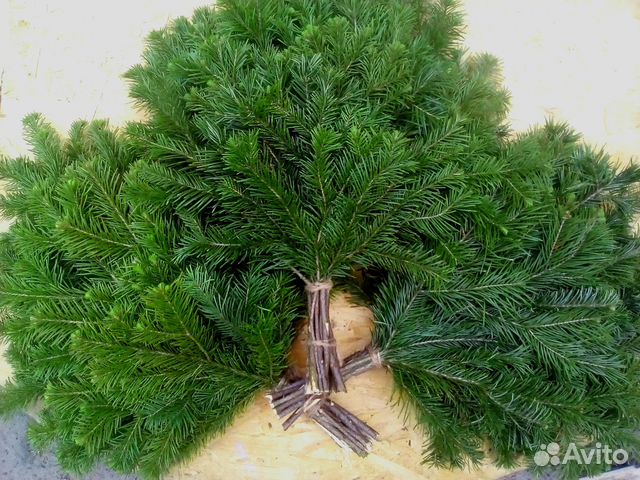 Пихтовые веники для бани