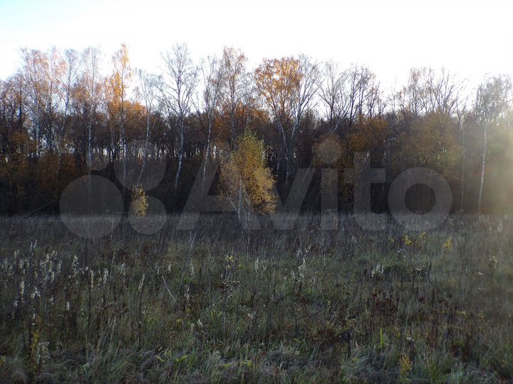 Участок 6 сот. (ИЖС)