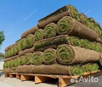 Гидропосев