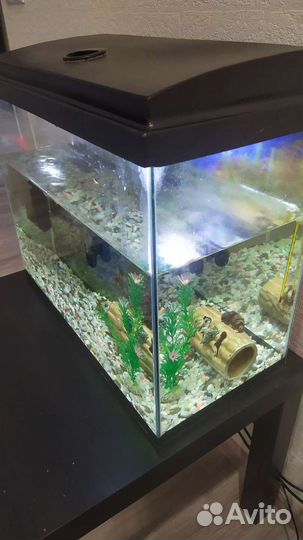 Аквариум 50 литров
