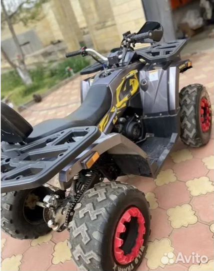 Квадроцикл Motoland Wild Track 200 X pro