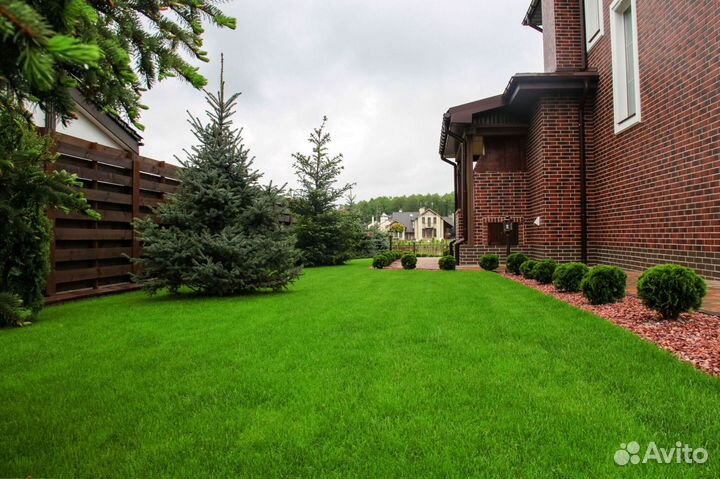 Рулонный газон из собственного питомника