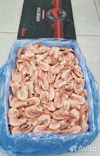 Красная икра / креветки