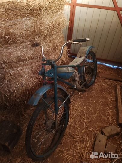 Рига 13 и зиф 77 обмен