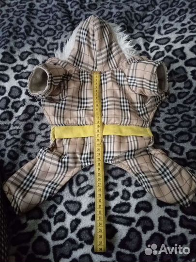 Костюм для собак мелких пород