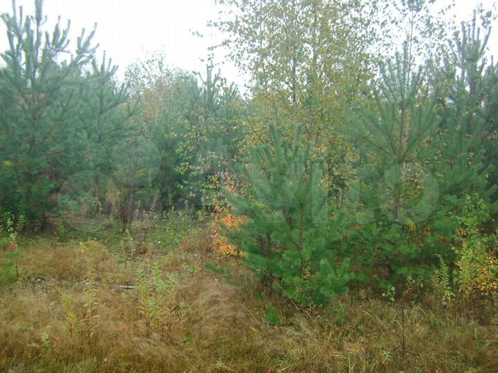 Участок 13,9 сот. (ИЖС)