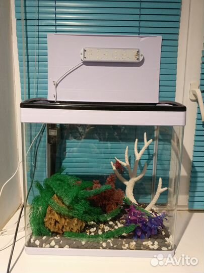 Аквариум