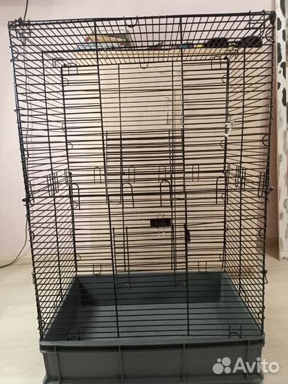 Клетка для крыс