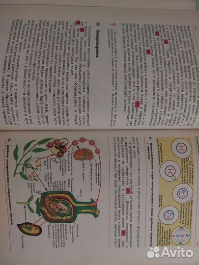 Общая Биология 10-11 класс