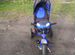 Велосипед детский safari trike Car