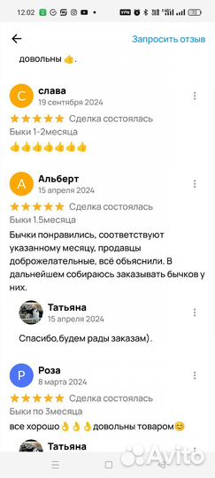 Быки 1-3месяца