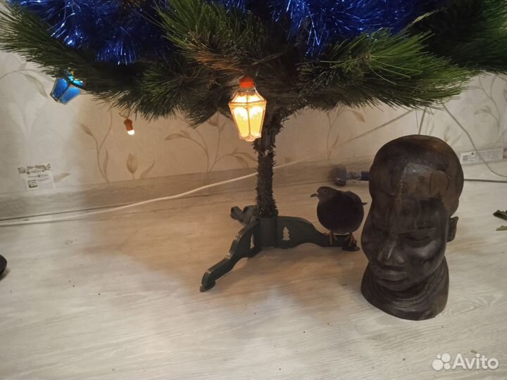 Голубка Яна молодая в Добрые руки