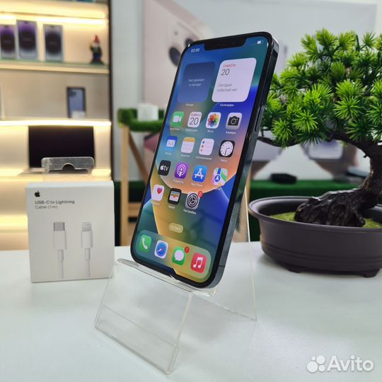 iPhone 12 Pro Max, 256 ГБ