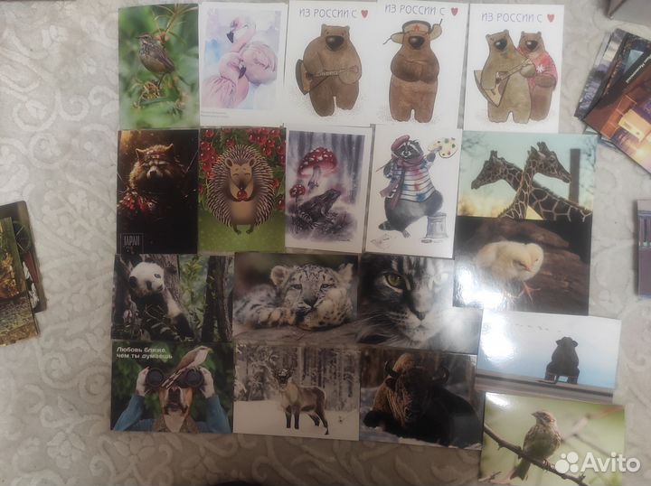 Открытки для посткроссинга поштучно