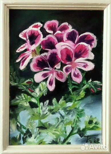 Картина маслом цветок в горшке Герань в раме